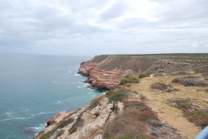 Vue des falaises