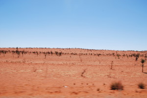 Paysage le long de la route