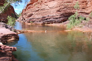 Petit plongeon dans les gorges