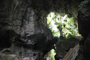 Pont naturel de Mangapohue