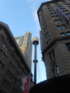 DSCN3663