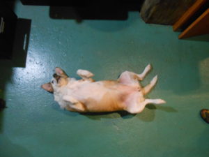 DSCN3759