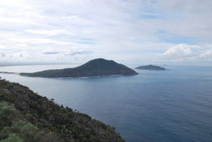 Newcastle1