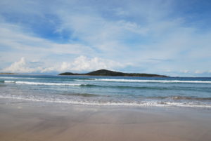 Newcastle3