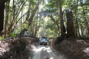fraser-island-027